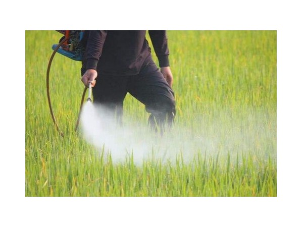 什么是納米農(nóng)藥呢？用砂磨機制備