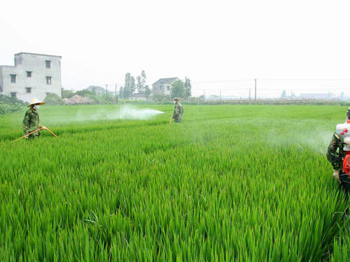 農業(yè)農藥砂磨機制備